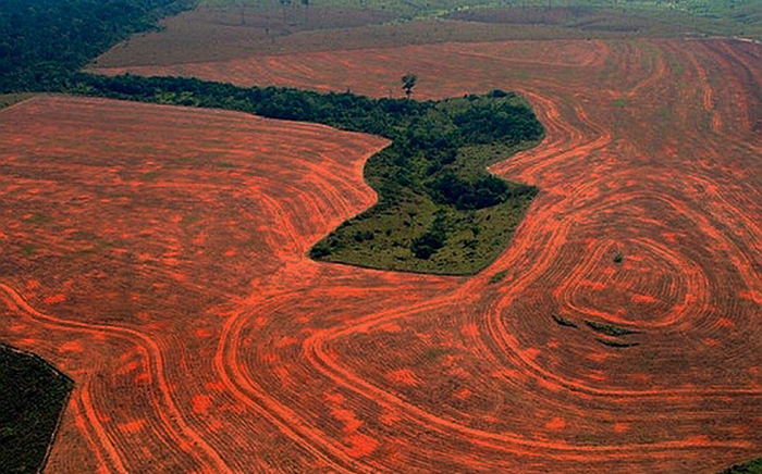 área de desmatamento da floresta amazônica