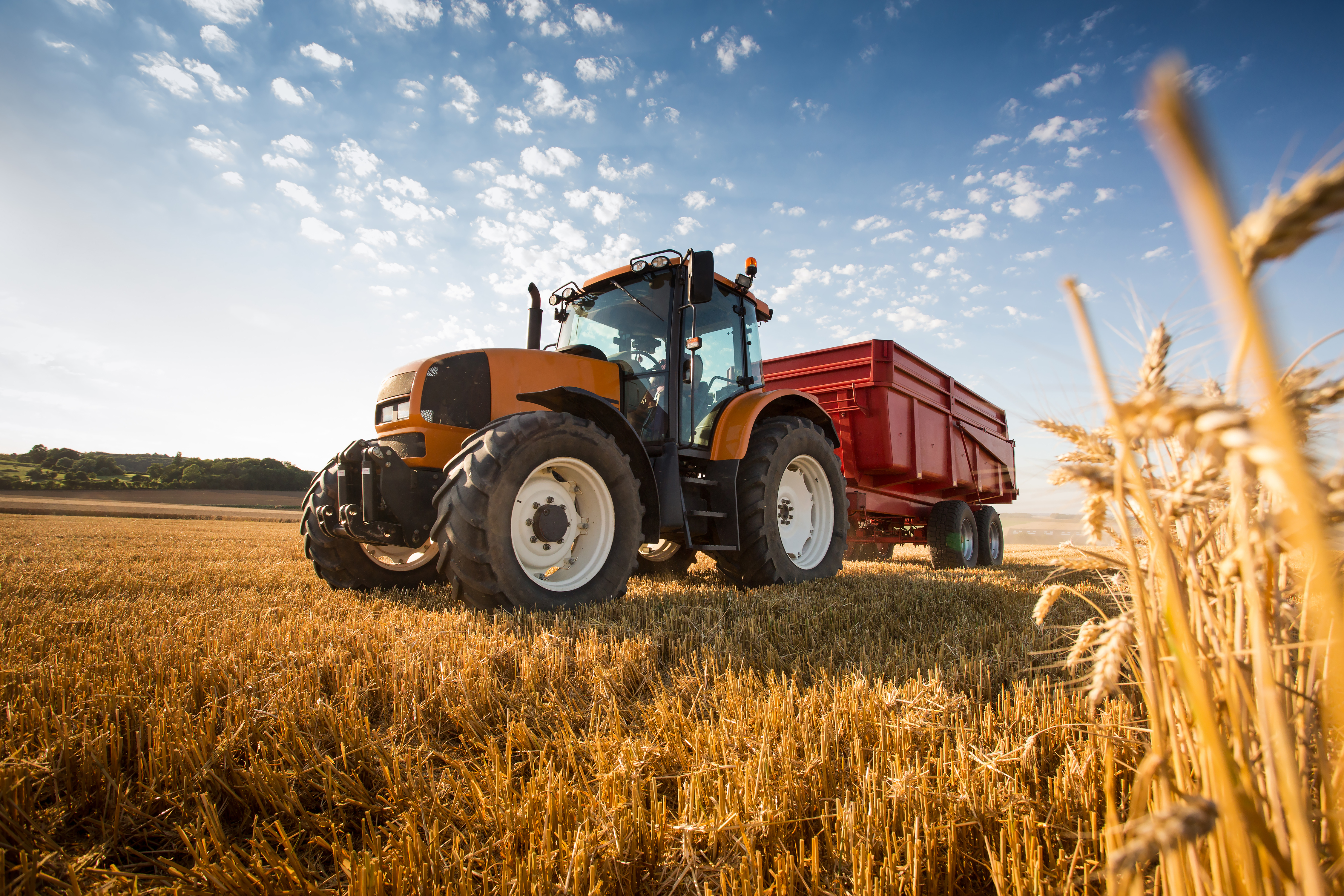 Leilões online são alternativa para adquirir máquinas e equipamentos agrícolas