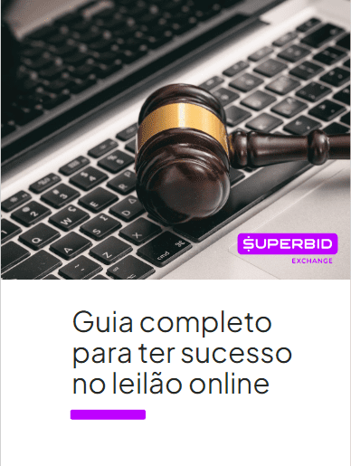 Guia Completo para ter sucesso no leilão online