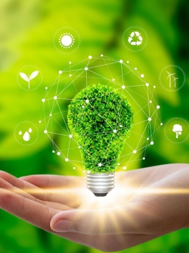 Meio ambiente – Bota pra Circular