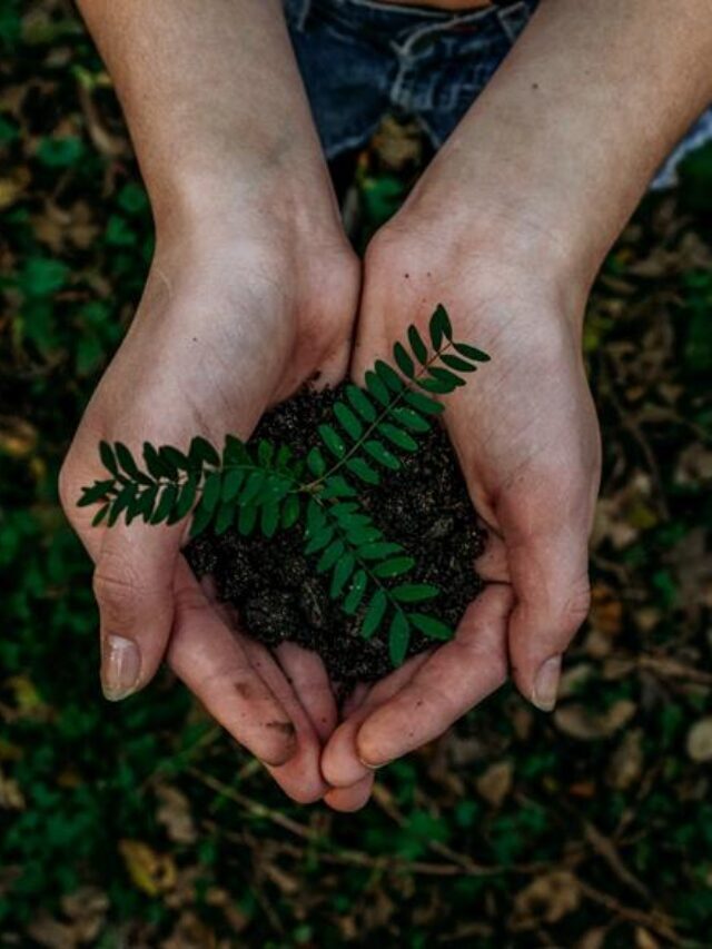 Entenda como funciona o controle ambiental