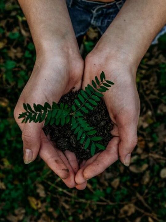 Entenda como funciona o controle ambiental