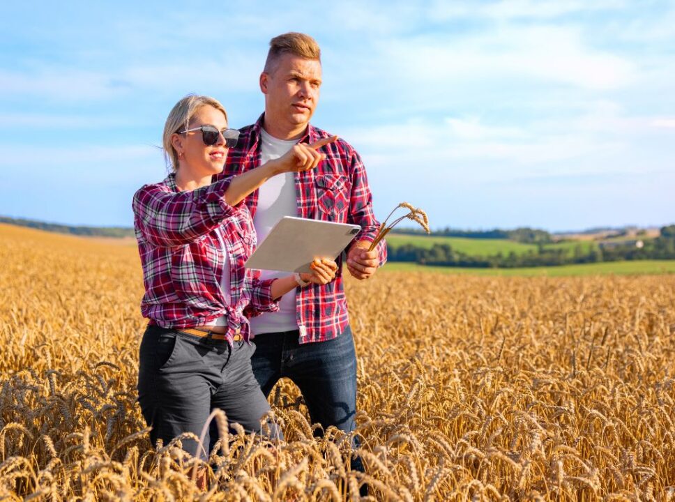 A transformação digital na agricultura brasileira