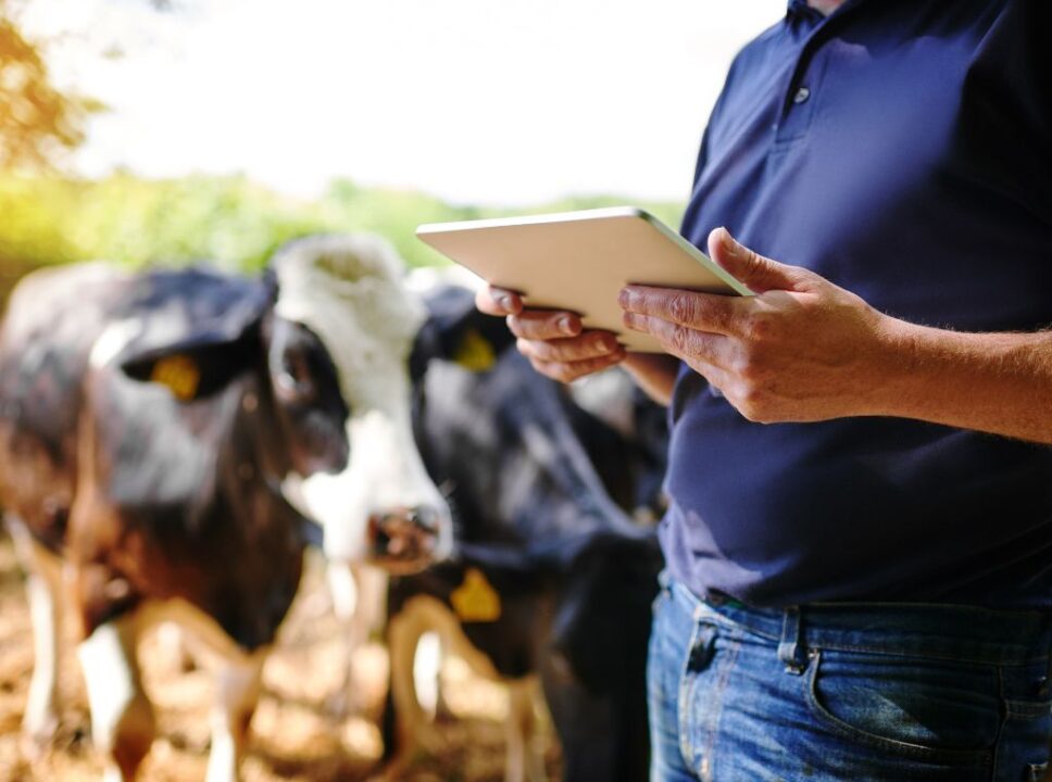 Benefícios da transformação digital na agricultura brasileira: para alguns especialistas, a tecnologia já é e será ainda mais responsável por uma revolução no setor.