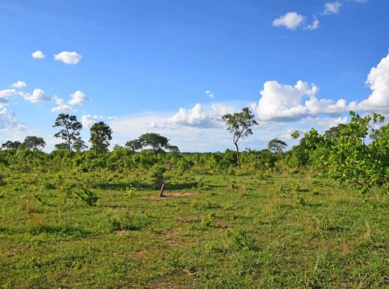 Sicoob: Terreno urbano de 5 mil metros para leilão com valores abaixo do mercado!