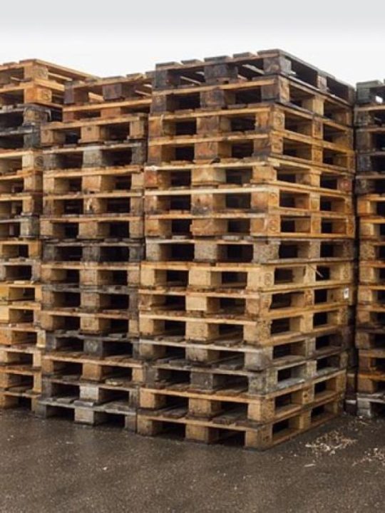 pallets de madeira expostos ao tempo