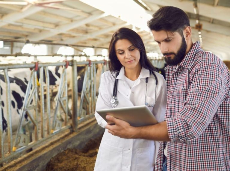 Como a tecnologia tem transformado a produção animal na pecuária?