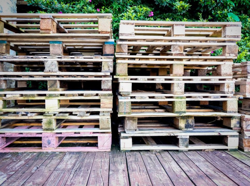 pallets de madeira