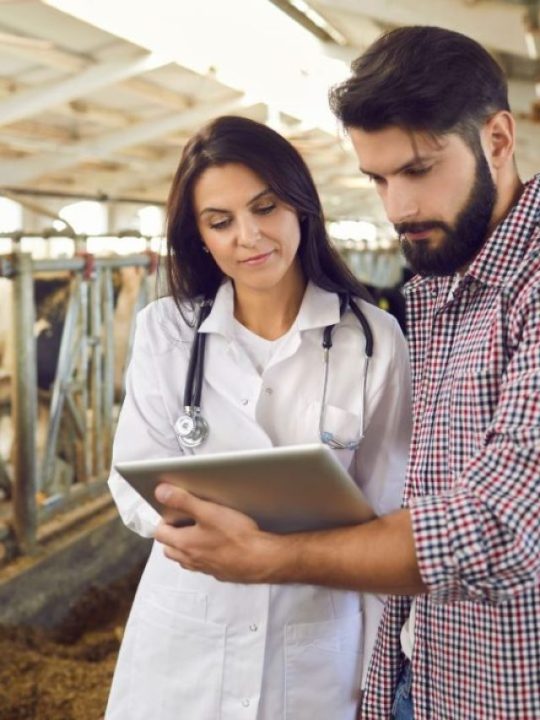 Como a tecnologia tem transformado a produção animal na pecuária?