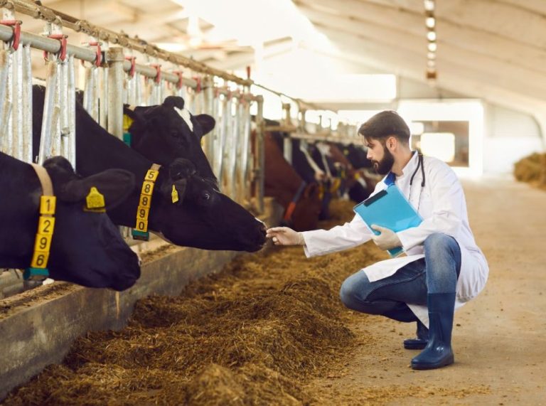 Importância do monitoramento da saúde animal na pecuária