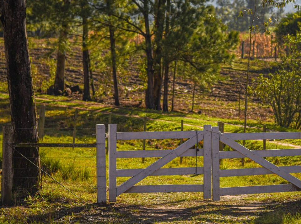 Sicredi: imóvel rural de 8 mil hectares no Paraná com valores abaixo do mercado!