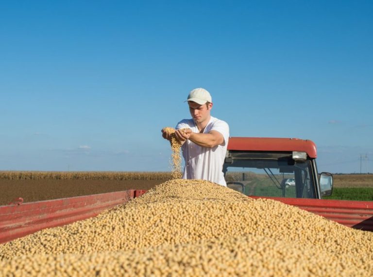 Conheça o top 3 países maiores produtores de soja do mundo