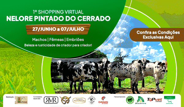 Criadores promovem 1º Shopping Nelore Pintado do Cerrado