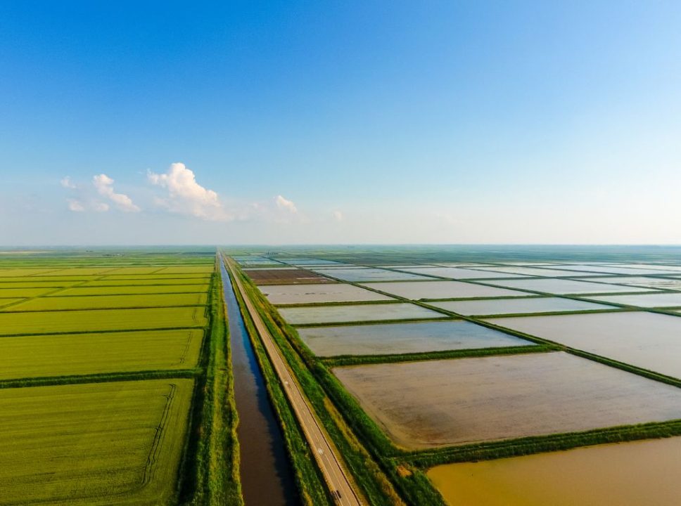 Resíduos na pecuária gestão adequada para obter os impactos positivos no meio ambiente