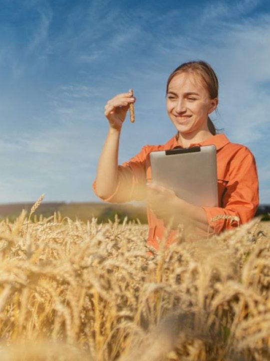 8 dicas de nutrição para lavoura de soja