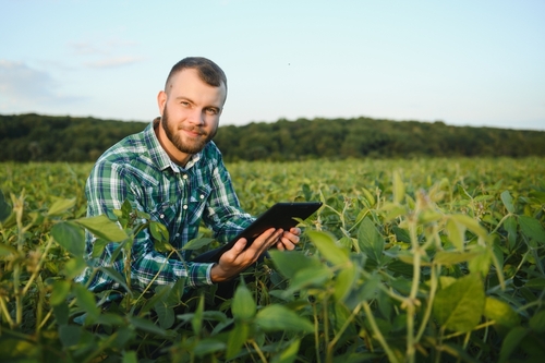 A Evolução da Mente do Agricultor Brasileiro: Tendências e Perspectivas