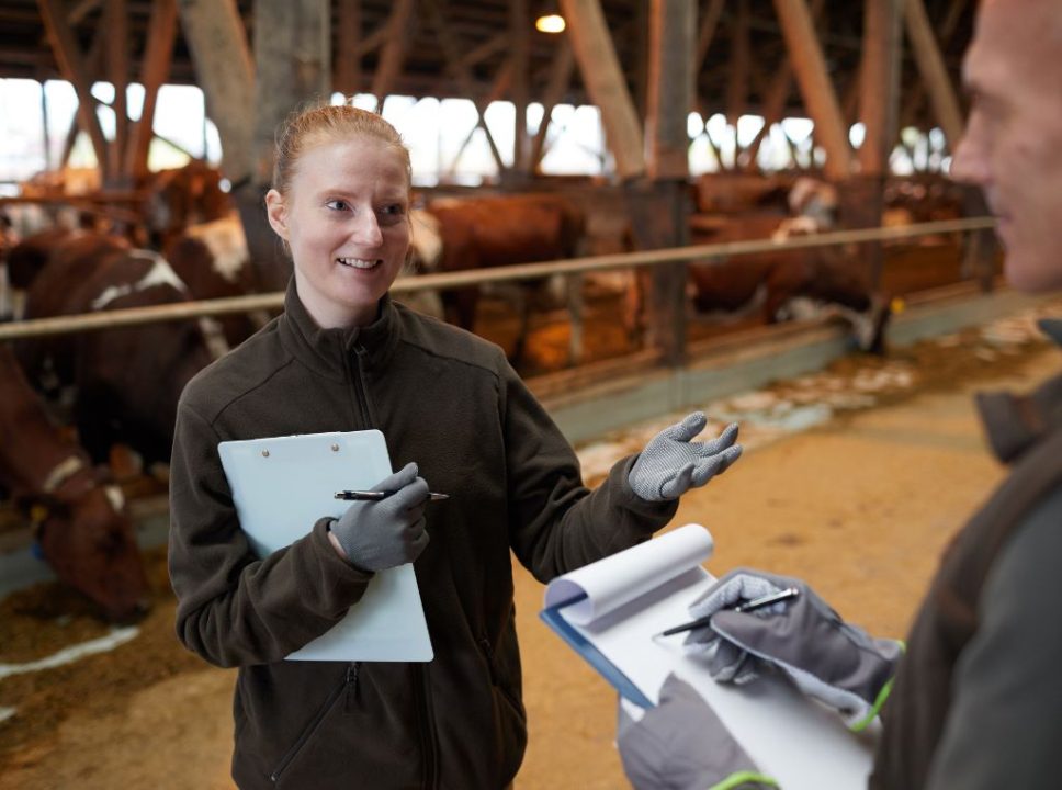 Fazenda de confinamento: como a tecnologia aumenta a eficiência e a produção?