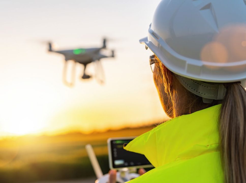 Drones na pecuária: veja como eles estão ajudando na produção e manejo de gado