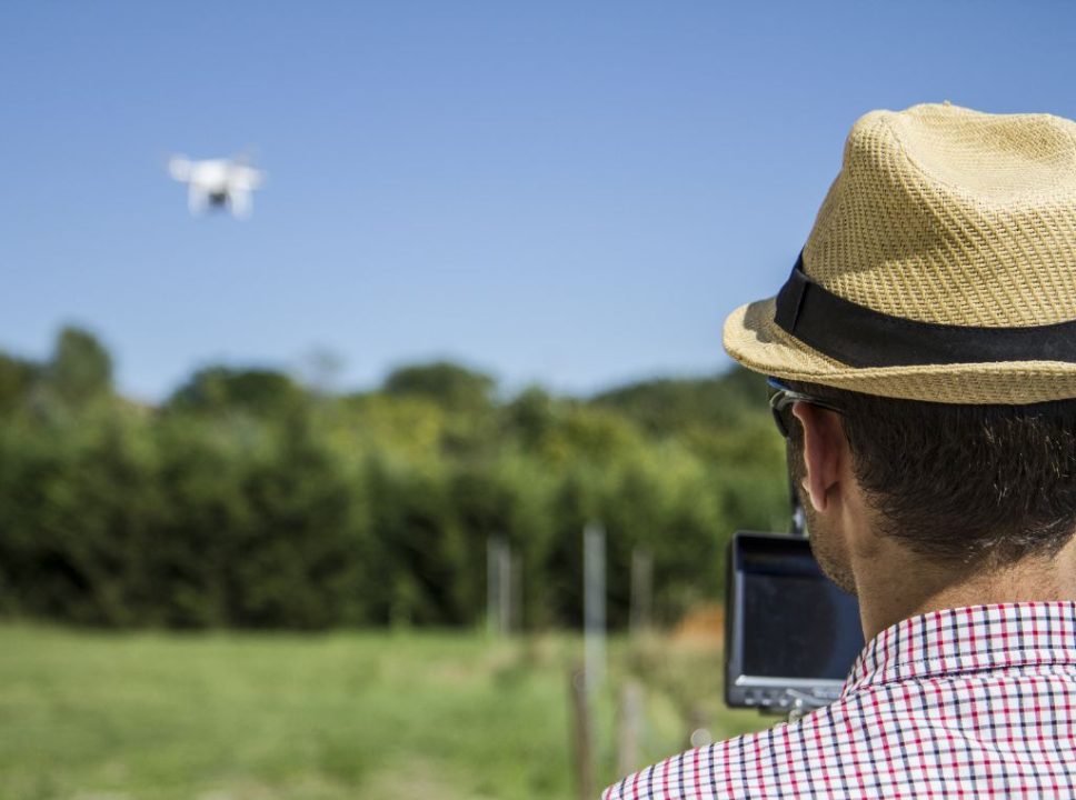 Drones na pecuária: veja como eles estão ajudando na produção e manejo de gado