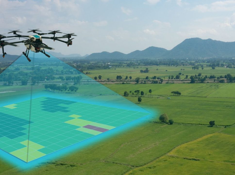 Drones na pecuária: veja como eles estão ajudando na produção e manejo de gado