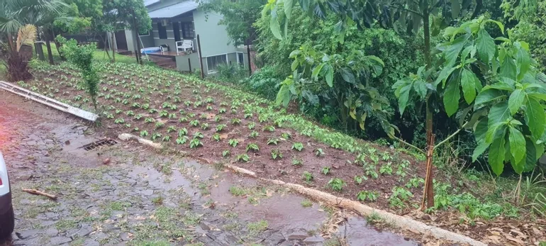 Prefeitura Municipal de Panambi realiza leilão de Imóveis Industriais, Terrenos e Lotes por lances a partir de R.640