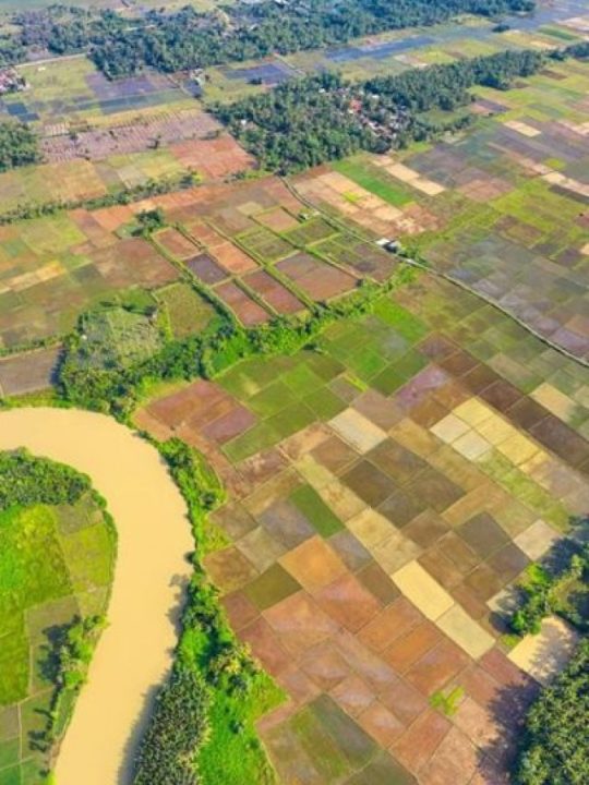 Leilões de Terrenos: Para quem sonha em construir uma casa ou imóvel comercial do zero