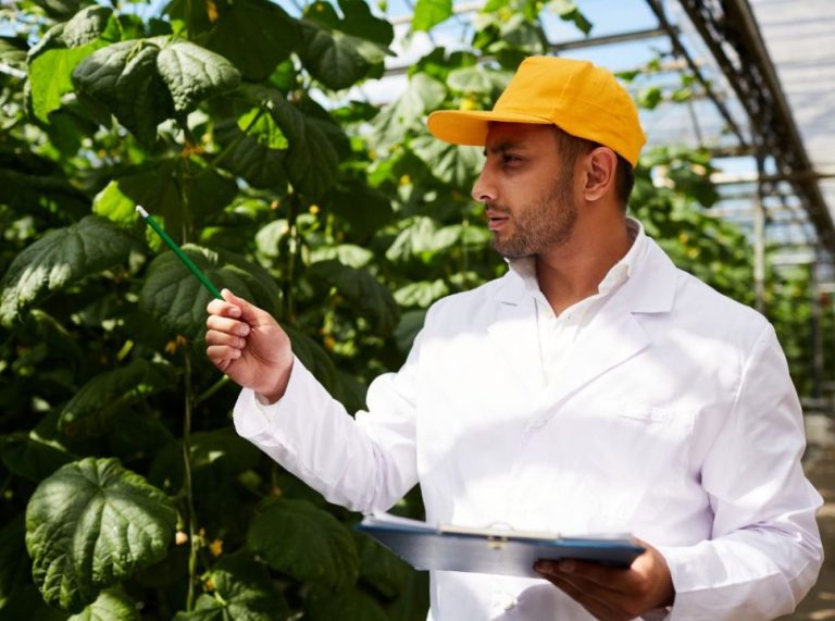 Tendências do mercado agro: o que esperar nos próximos anos