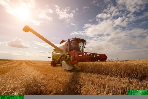 Negócios em leilões de máquinas agrícolas devem crescer 13%