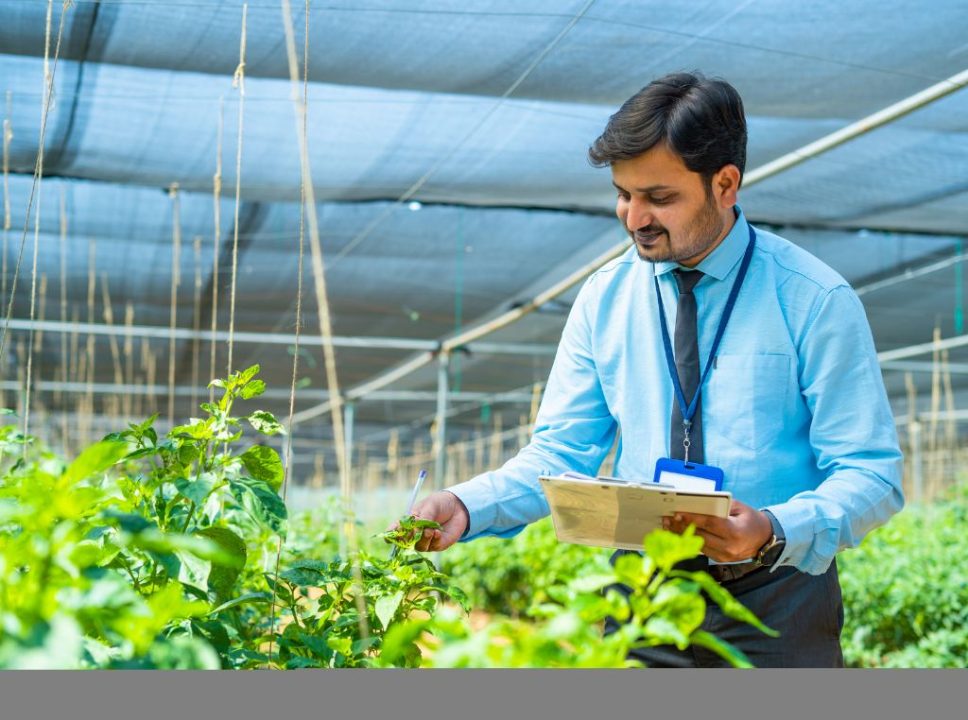 Tecnologias inovadoras no setor agro: o que há de novo neste mercado?