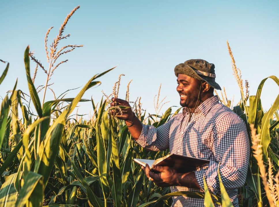 Como a agricultura de precisão está revolucionando as plantações?