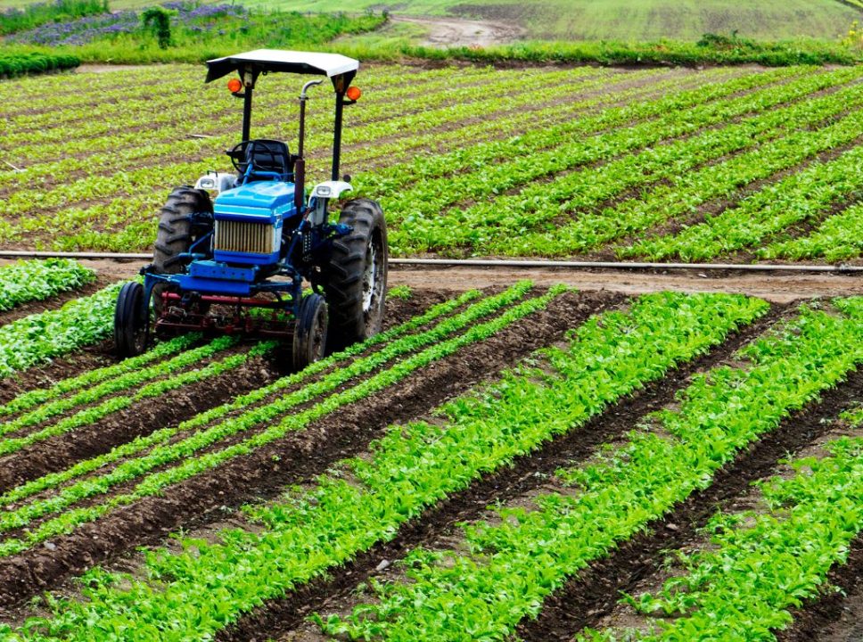 Como a agricultura de precisão está revolucionando as plantações?