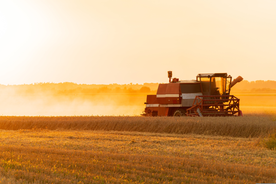 Guia de maquinário agrícola: o que você precisa saber sobre o assunto
